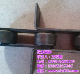 尼龙滚子链条与双龙穿杆网带的定制 丝网输送带的专业解决方案